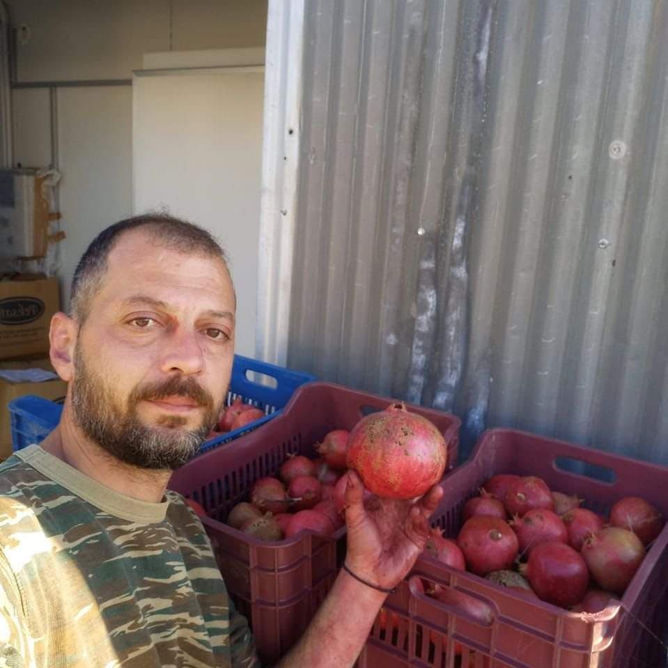 owner with pomegranates